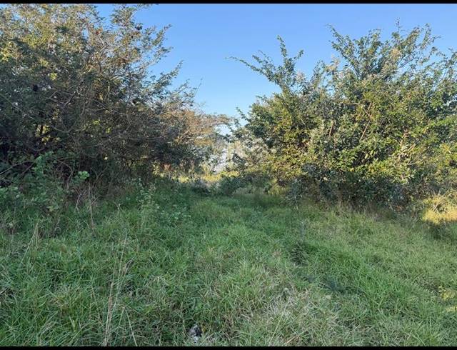 LAND FOR SALE IN ZINI RIVER ESTATE